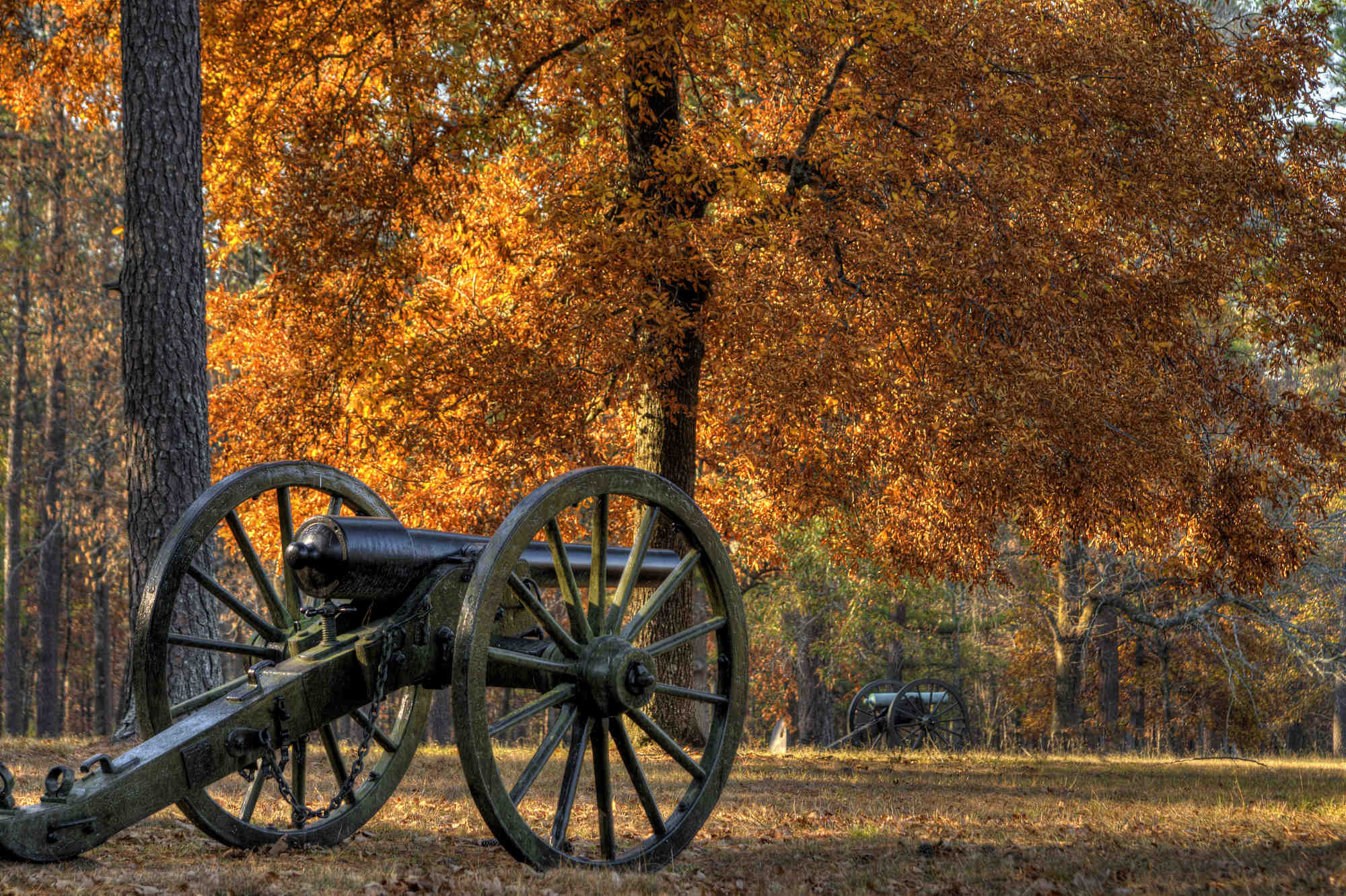 Autumn colors surround cannons in large fields