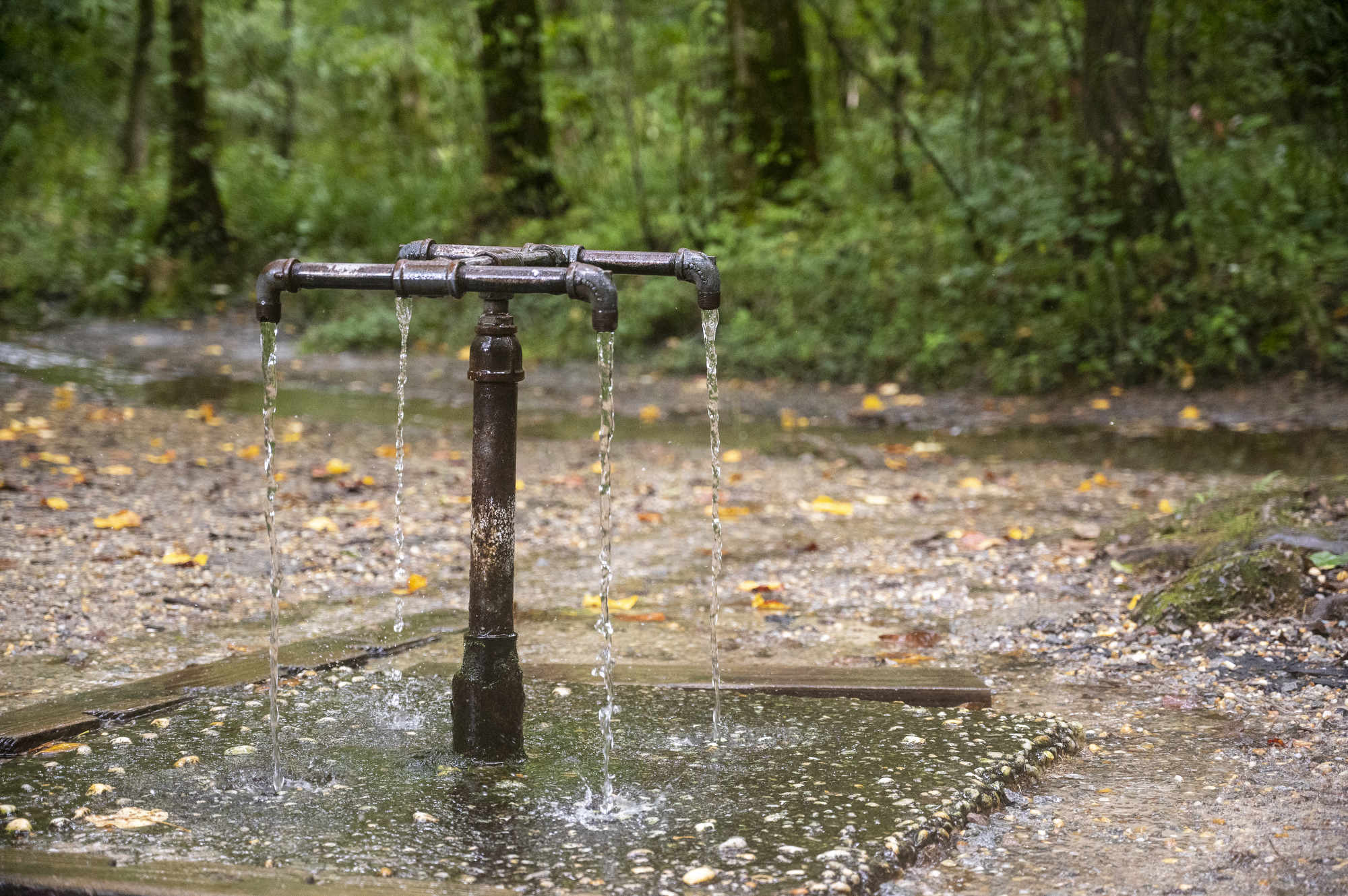Water flows from four pipes fixed to an underground natural spring at God's Acre Healing Springs in Blackville, South Carolina.