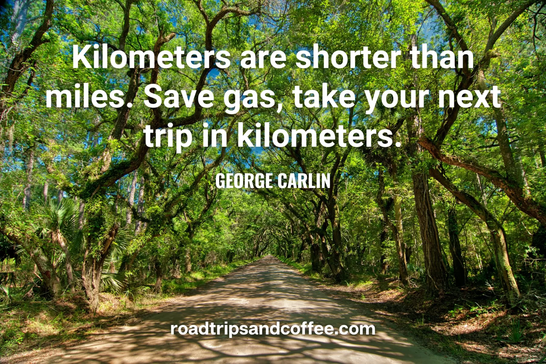 “Kilometers are shorter than miles. Save gas, take your next trip in kilometers.” – George Carlin