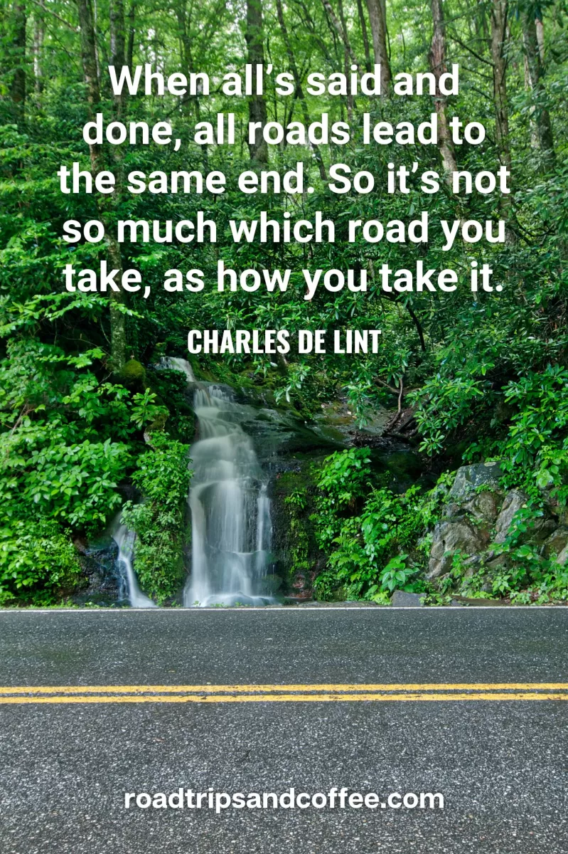 “When all’s said and done, all roads lead to the same end. So it’s not so much which road you take, as how you take it.” – Charles de Lint