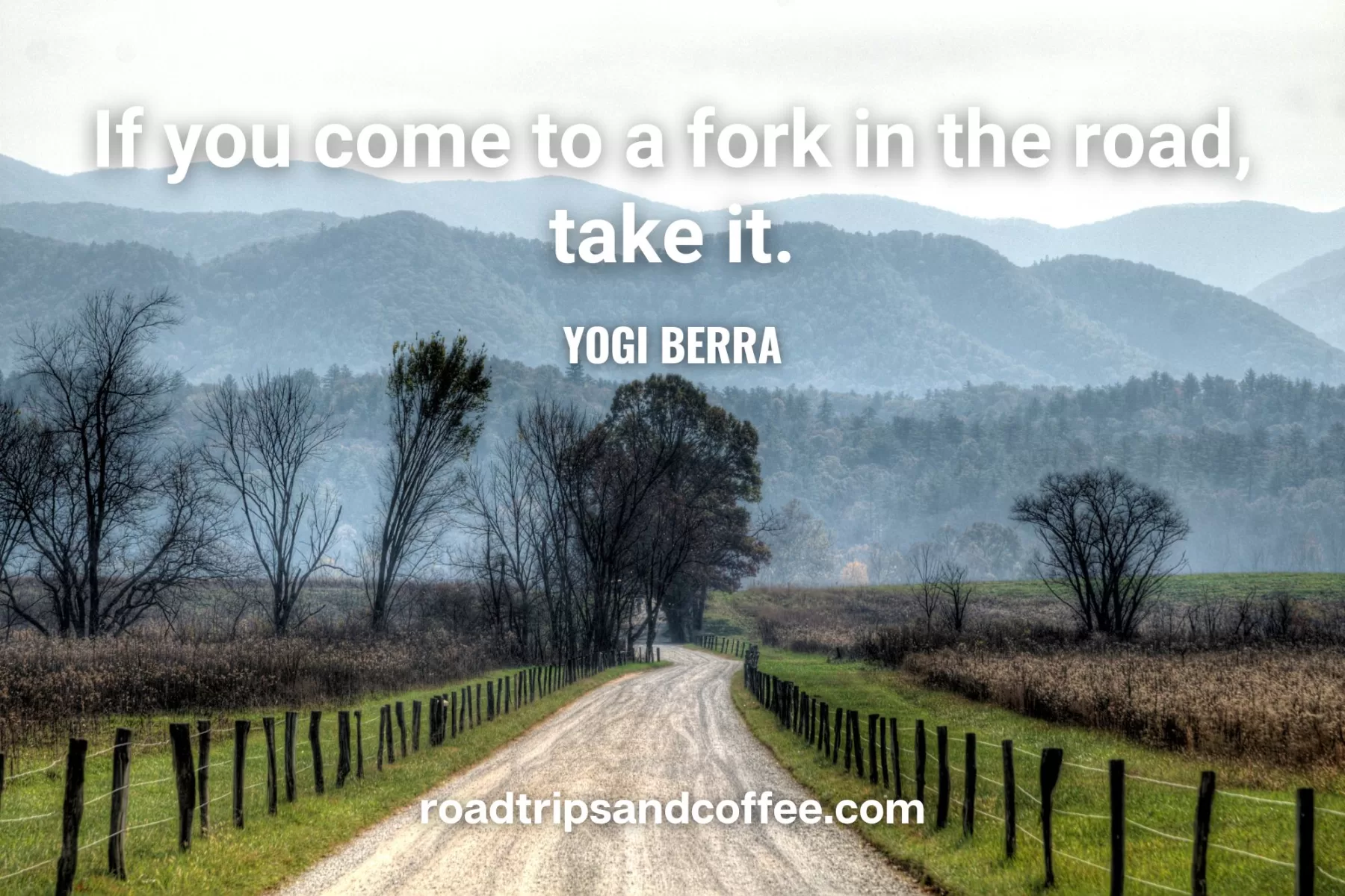 “If you come to a fork in the road, take it.” – Yogi Berra