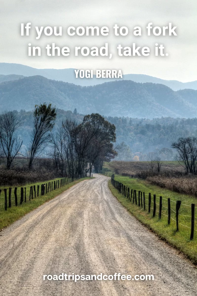 “If you come to a fork in the road, take it.” – Yogi Berra