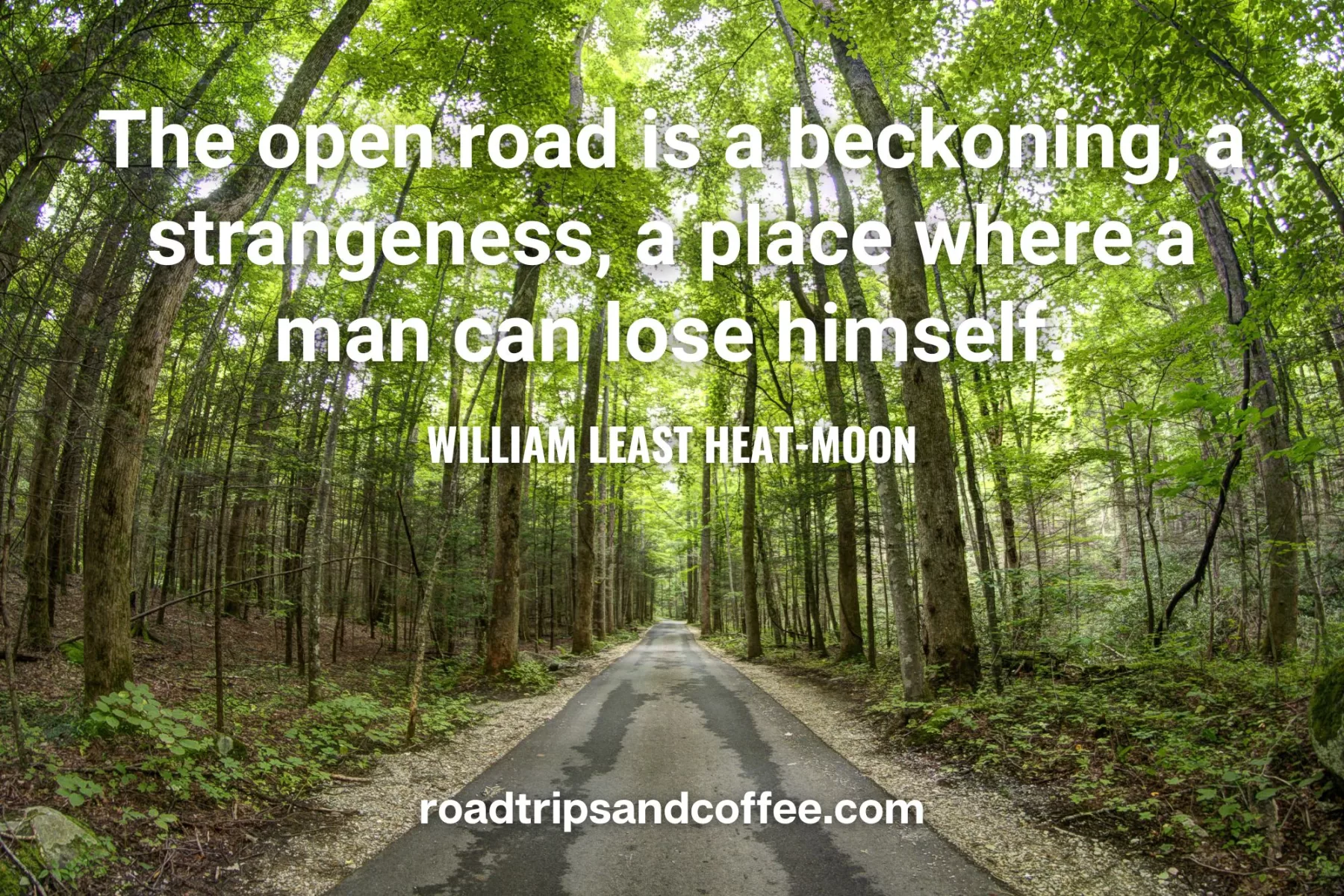 "The open road is a beckoning, a strangeness, a place where a man can lose himself." – William Least Heat-Moon