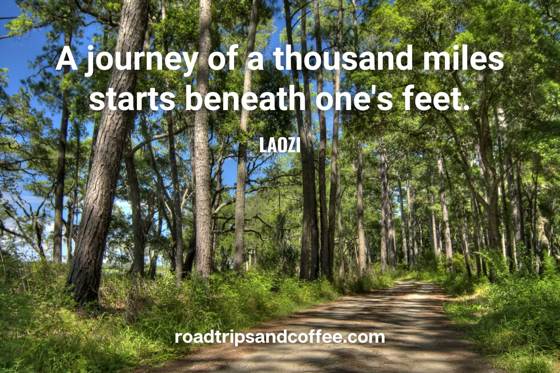 "A journey of a thousand miles starts beneath one's feet." – Laozi