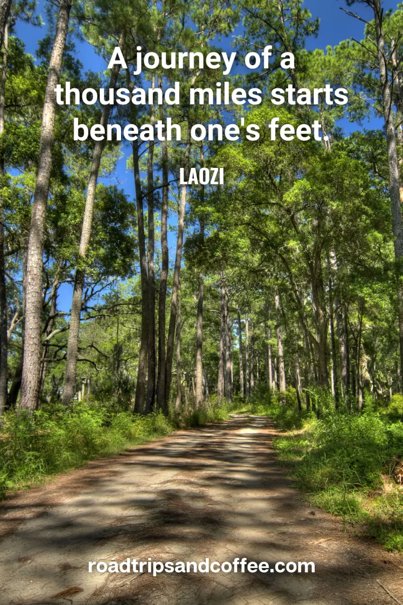 "A journey of a thousand miles starts beneath one's feet." – Laozi